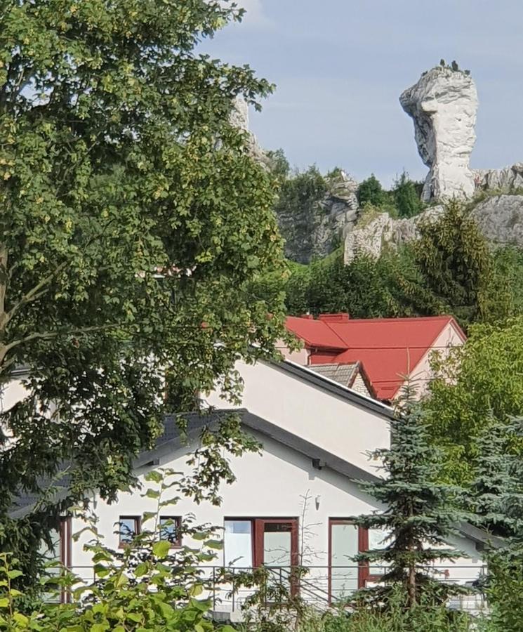 Pokoje Przy Zamku Podzamcze  المظهر الخارجي الصورة