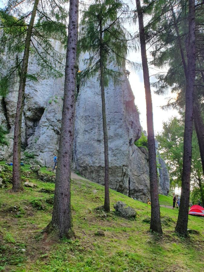 Pokoje Przy Zamku Podzamcze  المظهر الخارجي الصورة