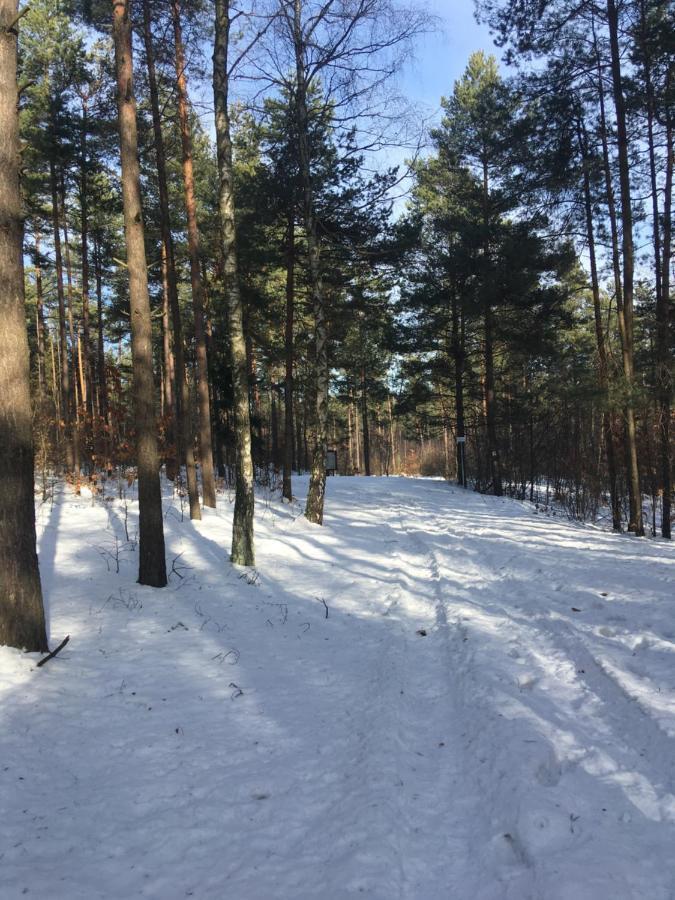 Pokoje Przy Zamku Podzamcze  المظهر الخارجي الصورة