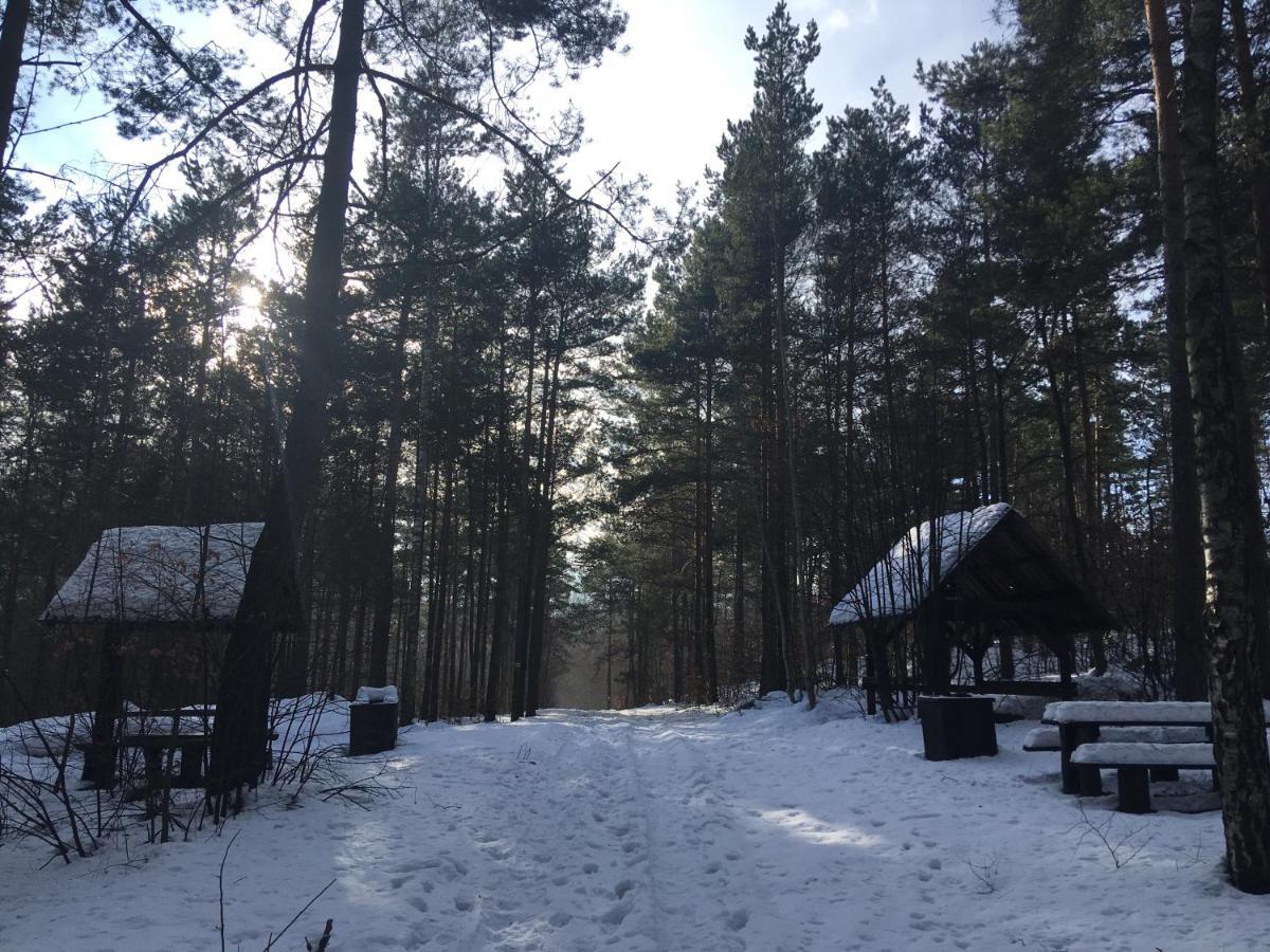 Pokoje Przy Zamku Podzamcze  المظهر الخارجي الصورة