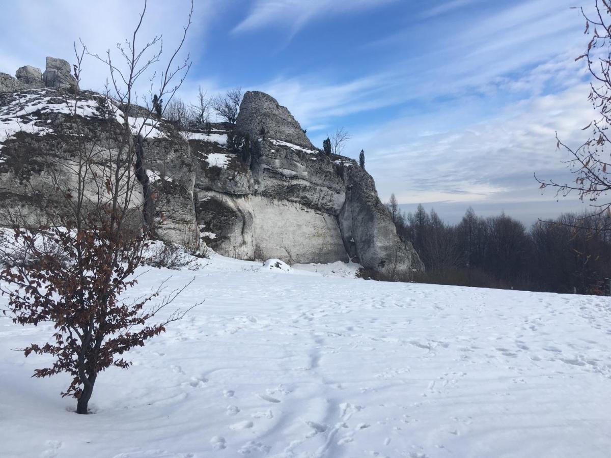 Pokoje Przy Zamku Podzamcze  المظهر الخارجي الصورة
