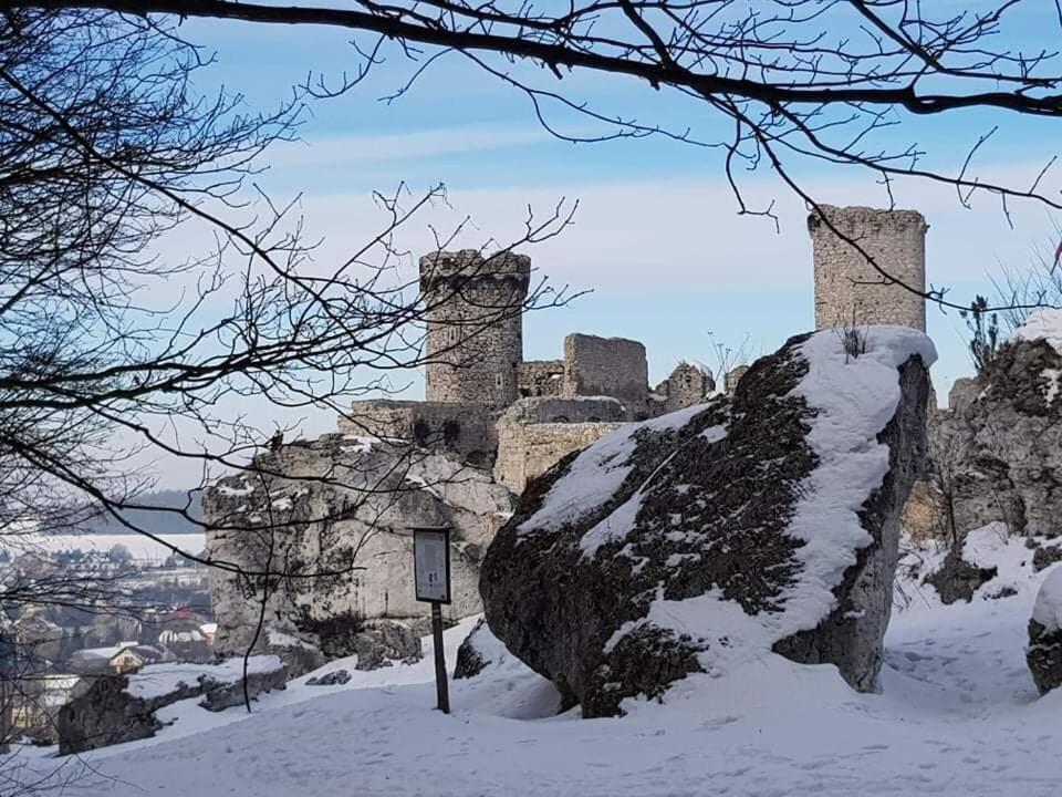 Pokoje Przy Zamku Podzamcze  المظهر الخارجي الصورة